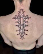 Spine Linework